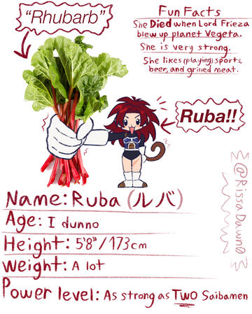 Ruba information sheet https://x.com/RissaDawn0/status/2046013539224359303?s=20